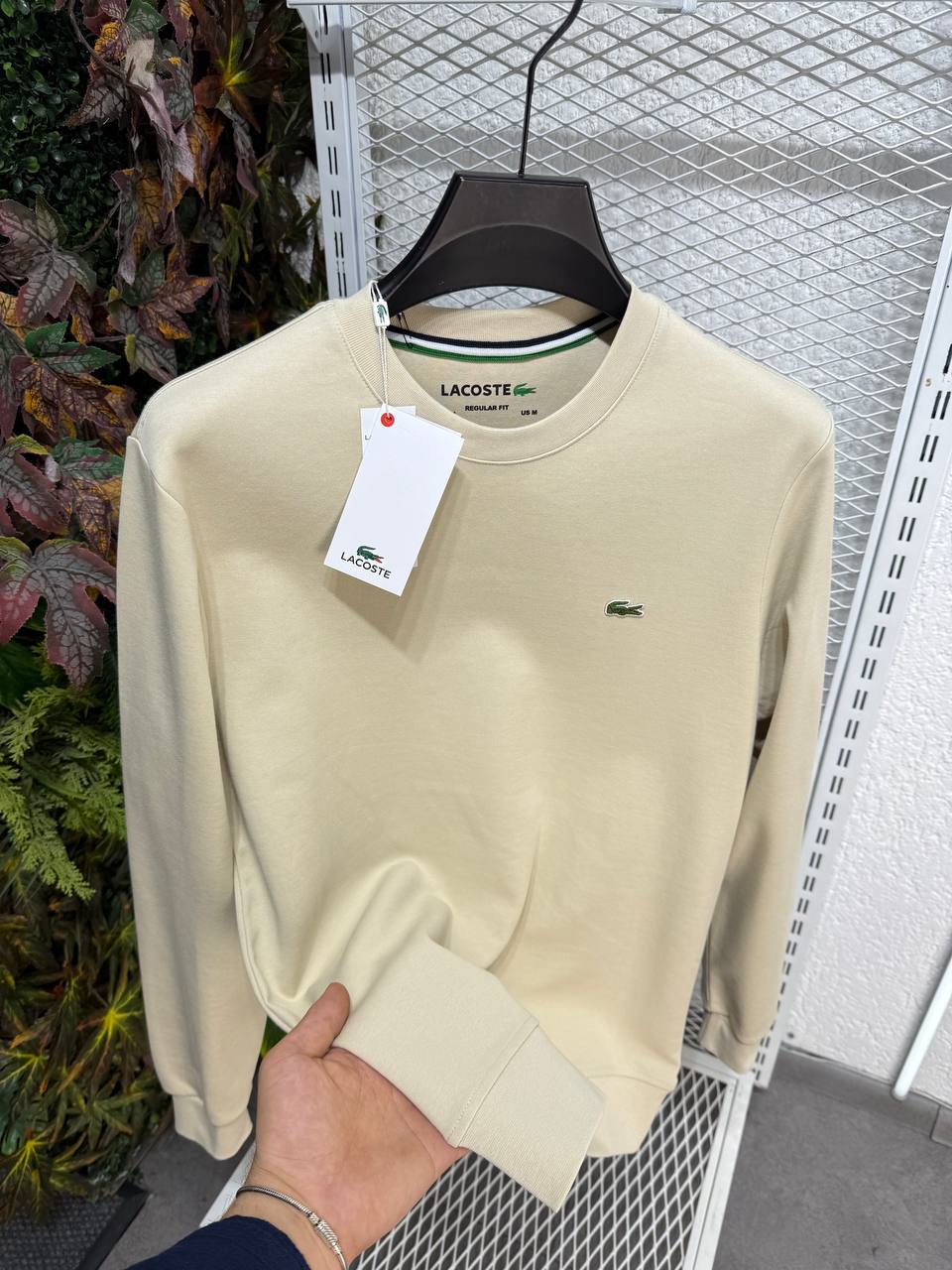 Lacoste Erkek Bej Bisiklet Yaka Sweatshirt